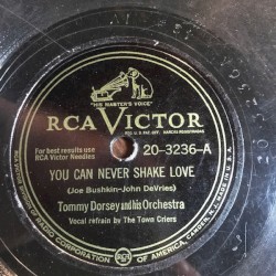 You Can Never Shake Love / You Know What the Trouble Is, Baby