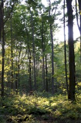 Season 02 Episode 06