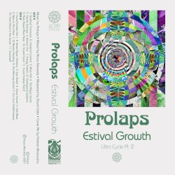 Ultra Cycle Pt. 2: Estival Growth