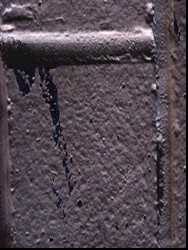 Feast on Disease/Indulge in Abuse