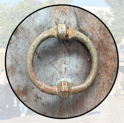 Moonlit Missive #107: 'Ginestra, Flower of the Desert'