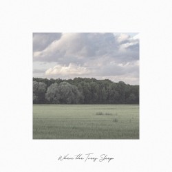 When the Trees Sleep