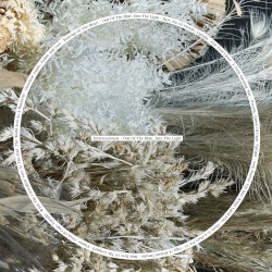 Out of the Blue, Into the Light