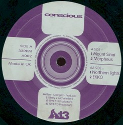 Mount Sinai / Northern Lights