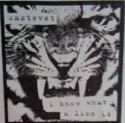 I Know What a Lion Is