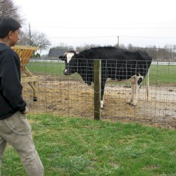 songs i wrote in 1984