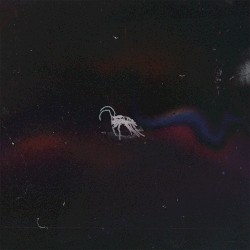 bugtape