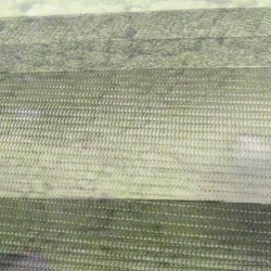 the past is an open book