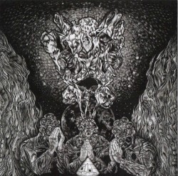 Objective Consciousness