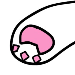 cat paw toes