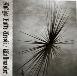 Yukiga Futte Uresii / Wallmaster