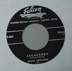 Jacaranda / Navidad tropical