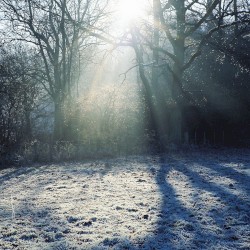 Heavenward