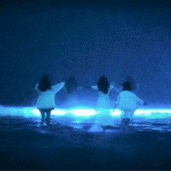 I'll Hold Your Hand Until the End of Time