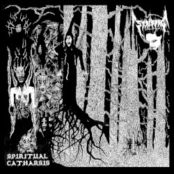 Spiritual Catharsis