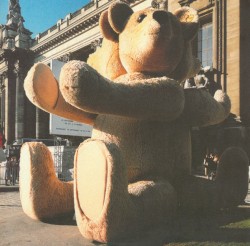 Godbear