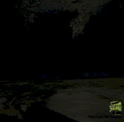 Rain Upon the Impure