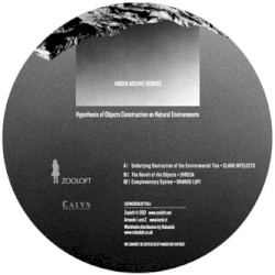 Hypothesis Of Objects Construction On Natural Environments (Hidden Archive Remixes)