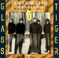 Don’t Forget Me (When I’m Gone) (extended version)