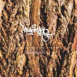 Bis Das Leben Applaudiert (Instrumentals)