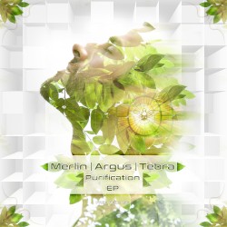 Purification EP