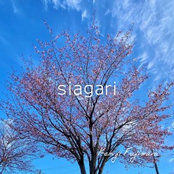 siagari