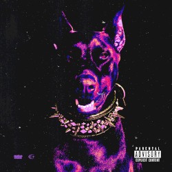 Голодный пёс