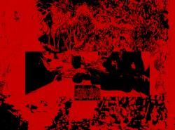 live aktion @ gallery 46