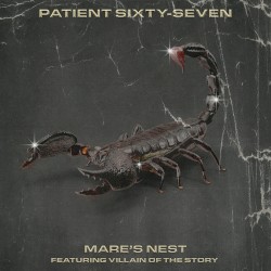 Mare's Nest