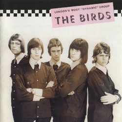 The Collectors' Guide to Rare British Birds
