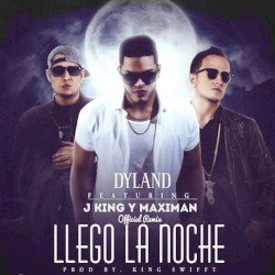 Llegó la noche (remix)