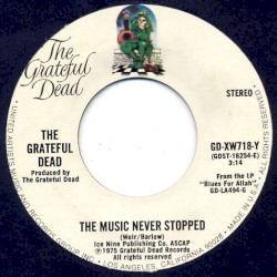 The Music Never Stopped