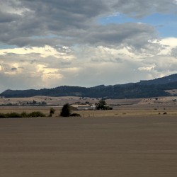 I Wanted Nothing More