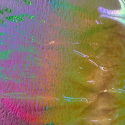 passions terrestres qui mènent aux illusions et à la souffrance