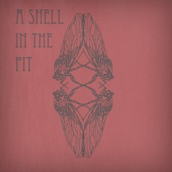 A Shell in the Pit