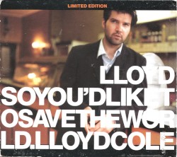 So You’d Like to Save the World