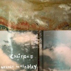 Needle in the Hay