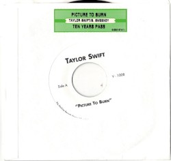 Picture to Burn / Ten Years Pass