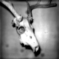 The Waves and Oceans of the Teeth of Gods