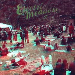 Live@Electric Meadow 2015