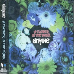 A Flower in the Dark