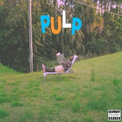 Pulp