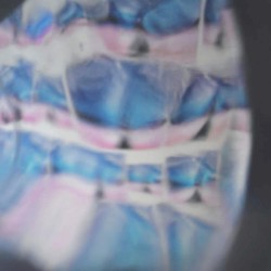 今夜はブギウギナイト 2015 EP