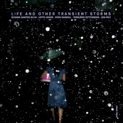 Life and Other Transient Storms