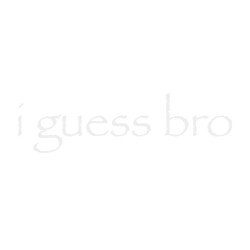 i guess bro