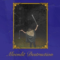 Moonlit Destruction
