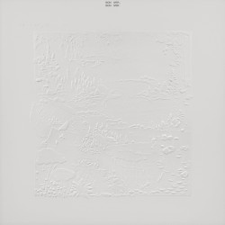 Bon Iver