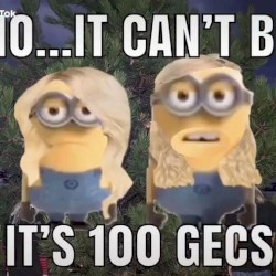 100Pluggs