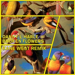 Broken Flowers (Kane West remix)