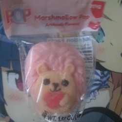 Plastic Wrapped Marshmallow Pop